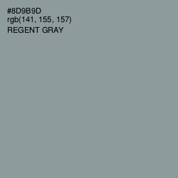 #8D9B9D - Regent Gray Color Image